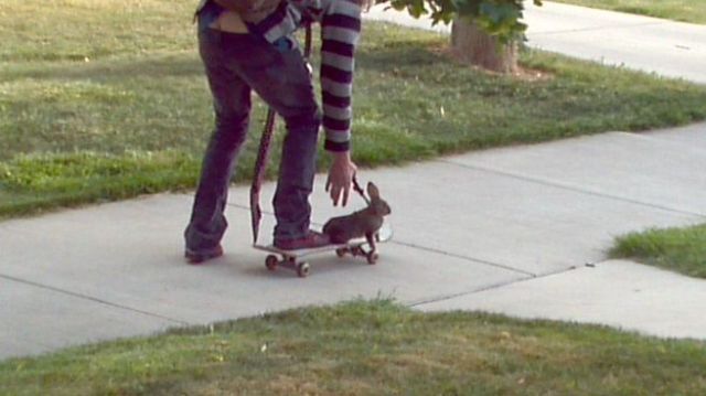 daily picdump 86 pics 12.html - 86 HD Photos | Premium Gallery 2012