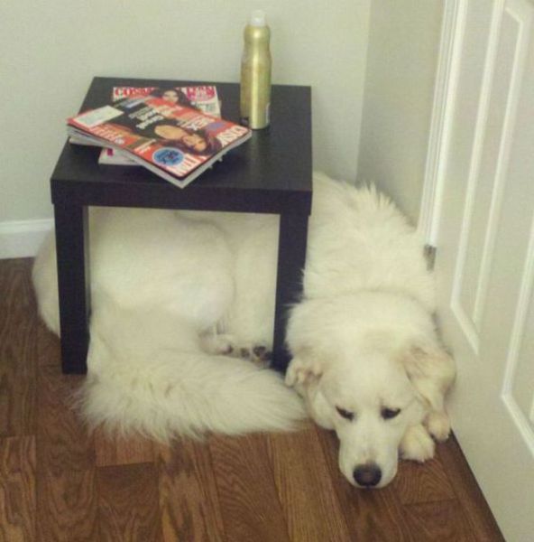 morning picdump 51 pics 12.html - 51 HD Photos | Premium Gallery 2012