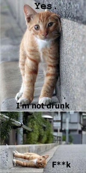 morning picdump 51 pics 12.html - 51 HD Photos | Premium Gallery 2012