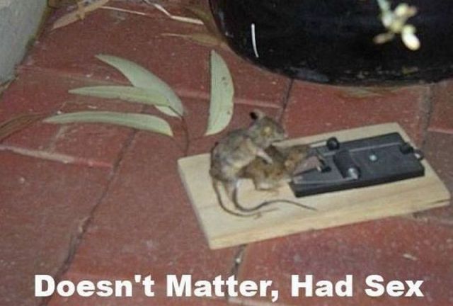 Morning Picdump
