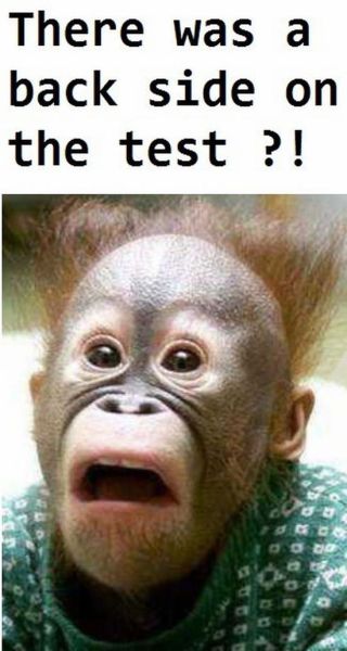 Morning Picdump