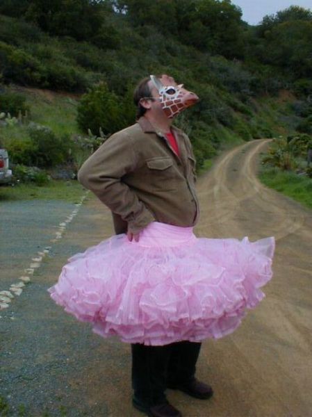 Morning Picdump
