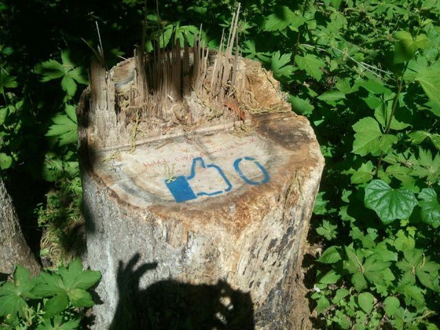 morning picdump 52 pics 27.html - 52 HD Photos | Premium Gallery 2012