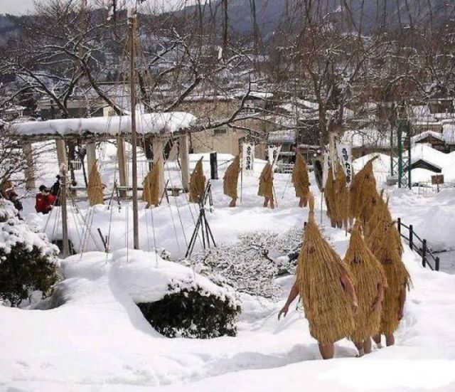 morning picdump 52 pics 19.html - 52 HD Photos | Premium Gallery 2012