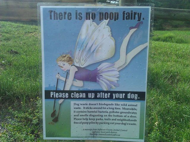 morning picdump 52 pics 19.html - 52 HD Photos | Premium Gallery 2012