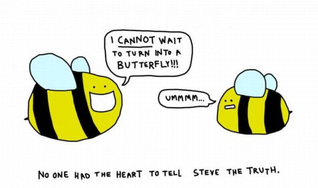 morning picdump 52 pics 19.html - 52 HD Photos | Premium Gallery 2012