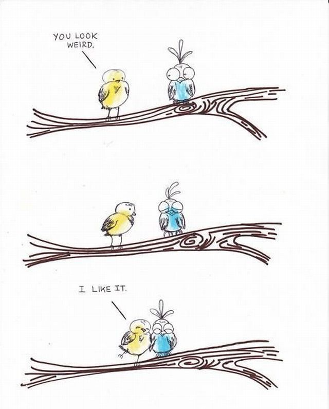 morning picdump 52 pics 19.html - 52 HD Photos | Premium Gallery 2012