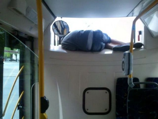 Morning Picdump