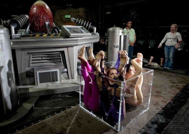 morning picdump 57 pics 27.html - 57 HD Photos | Premium Gallery 2012