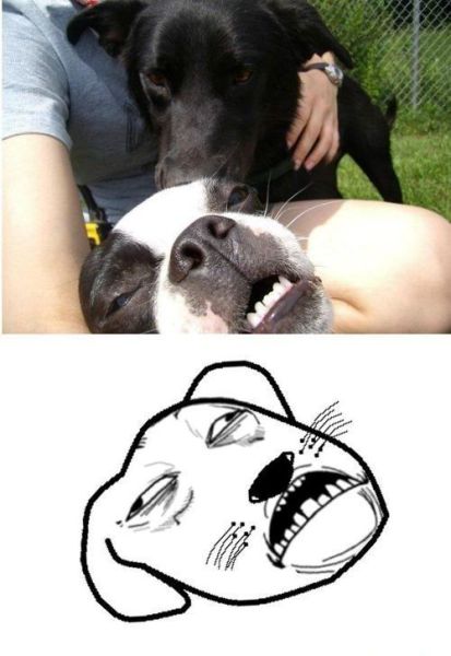 morning picdump 57 pics 27.html - 57 HD Photos | Premium Gallery 2012