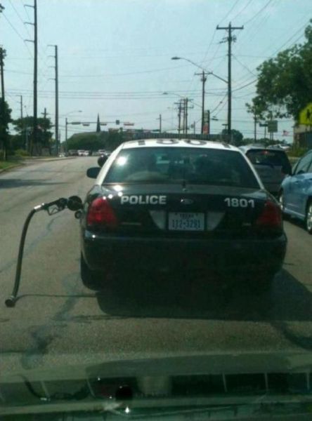 morning picdump 52 pics 16.html - 52 HD Photos | Premium Gallery 2012