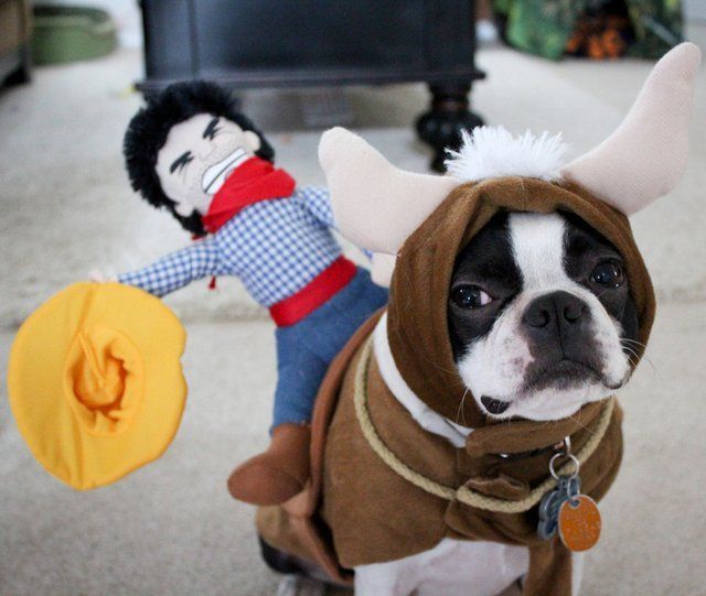 morning picdump 52 pics 16.html - 52 HD Photos | Premium Gallery 2012
