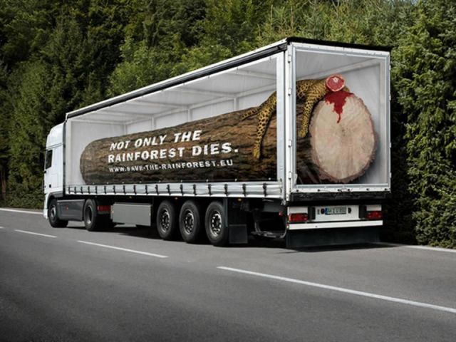 morning picdump 52 pics 16.html - 52 HD Photos | Premium Gallery 2012