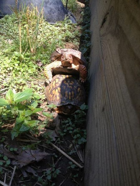 morning picdump 52 pics 16.html - 52 HD Photos | Premium Gallery 2012