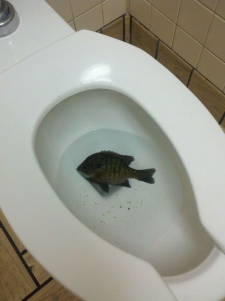 These Weren’t the Best Ideas