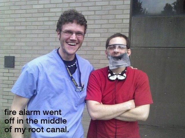 Morning Picdump
