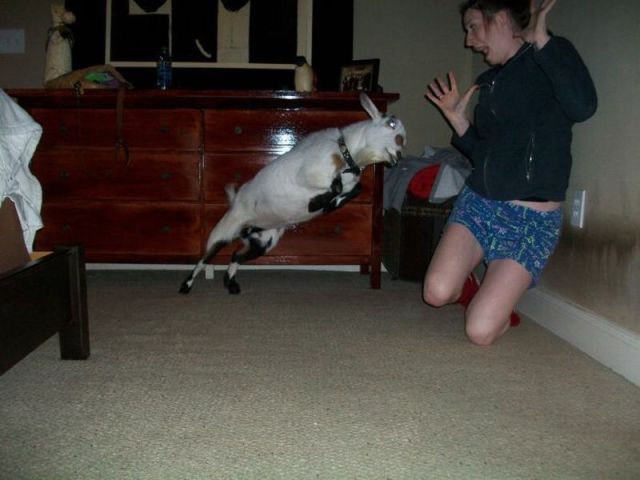 morning picdump 53 pics 25.html - 53 HD Photos | Premium Gallery 2012