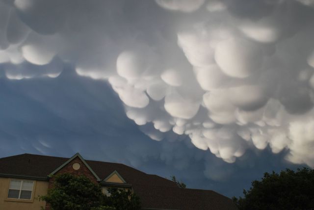 morning picdump 57 pics 17.html - 57 HD Photos | Premium Gallery 2012