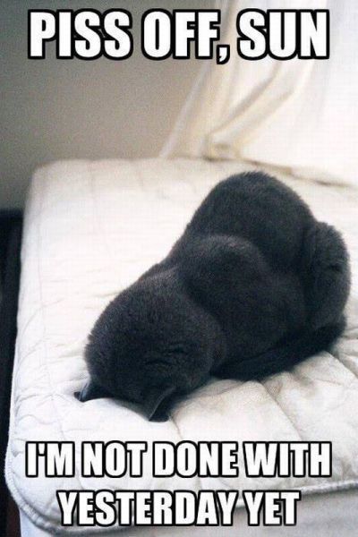 morning picdump 57 pics 17.html - 57 HD Photos | Premium Gallery 2012