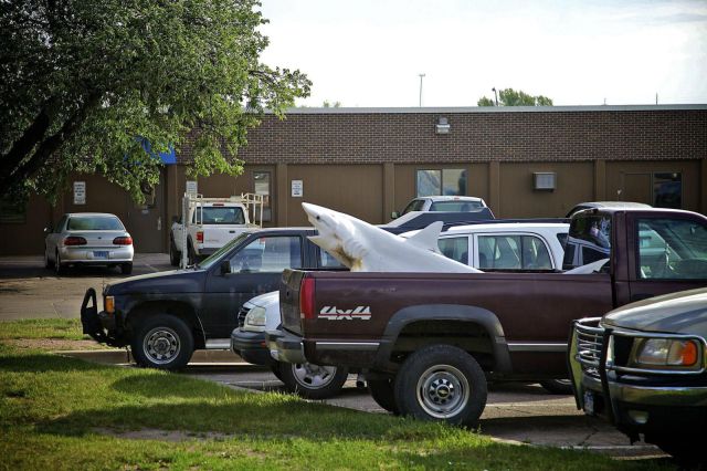 morning picdump 57 pics 20.html - 57 HD Photos | Premium Gallery 2012