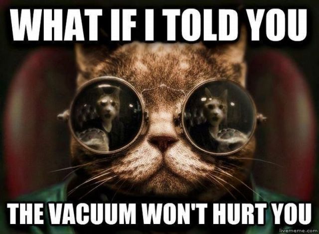 morning picdump 57 pics 20.html - 57 HD Photos | Premium Gallery 2012