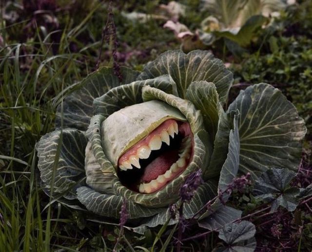 morning picdump 57 pics 17.html - 57 HD Photos | Premium Gallery 2012