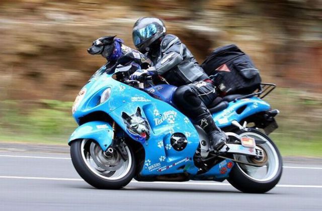 morning picdump 57 pics 17.html - 57 HD Photos | Premium Gallery 2012