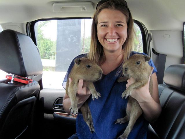 daily picdump 93 pics 1.html - 93 HD Photos | Premium Gallery 2012