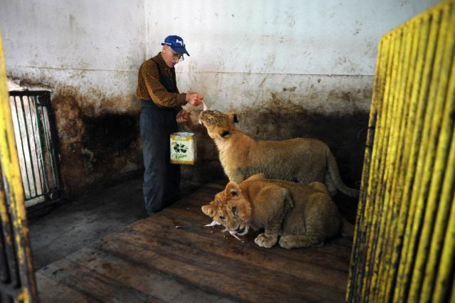 daily picdump 93 pics 1.html - 93 HD Photos | Premium Gallery 2012