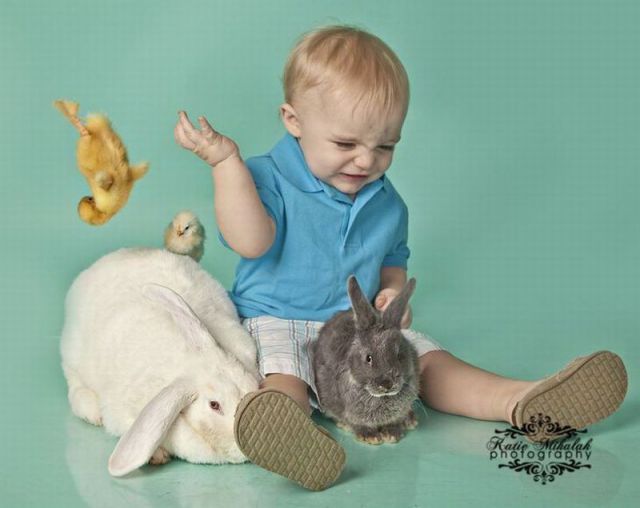 daily picdump 93 pics 1.html - 93 HD Photos | Premium Gallery 2012