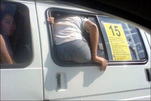 daily picdump 93 pics 1.html - 93 HD Photos | Premium Gallery 2012