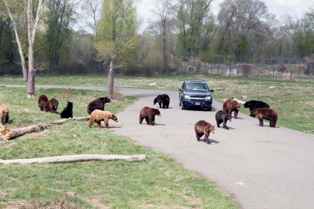 daily picdump 93 pics 1.html - 93 HD Photos | Premium Gallery 2012