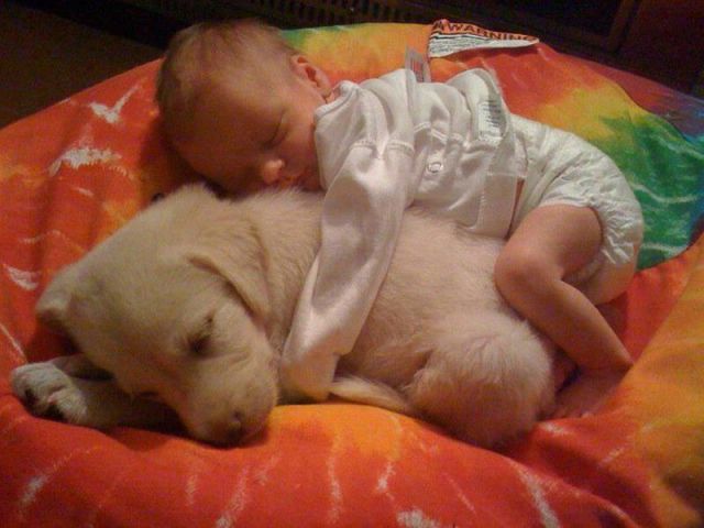 daily picdump 93 pics 1.html - 93 HD Photos | Premium Gallery 2012