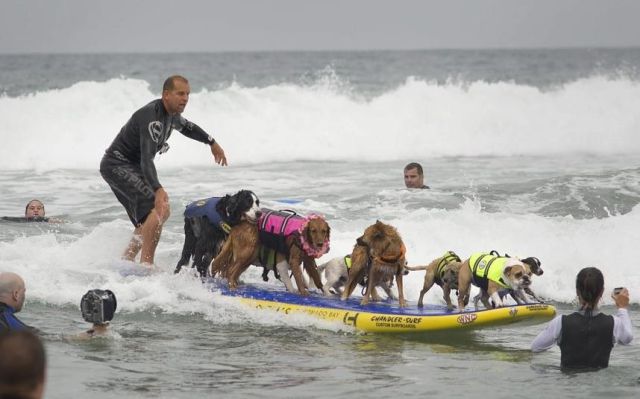 daily picdump 92 pics 12.html - 92 HD Photos | Premium Gallery 2012