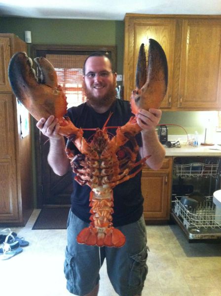 daily picdump 92 pics 12.html - 92 HD Photos | Premium Gallery 2012