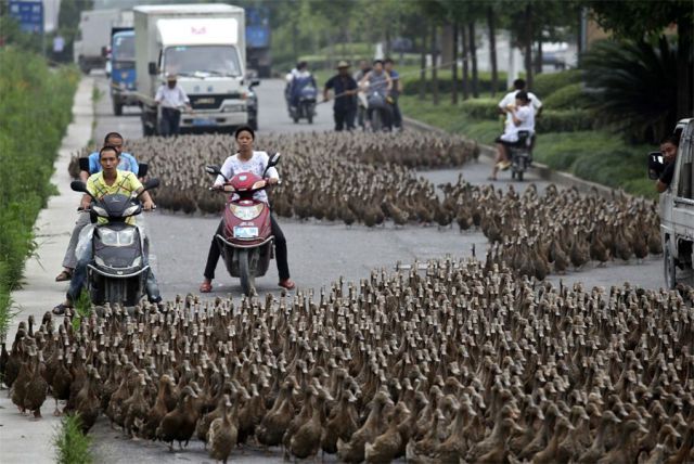 daily picdump 92 pics 12.html - 92 HD Photos | Premium Gallery 2012