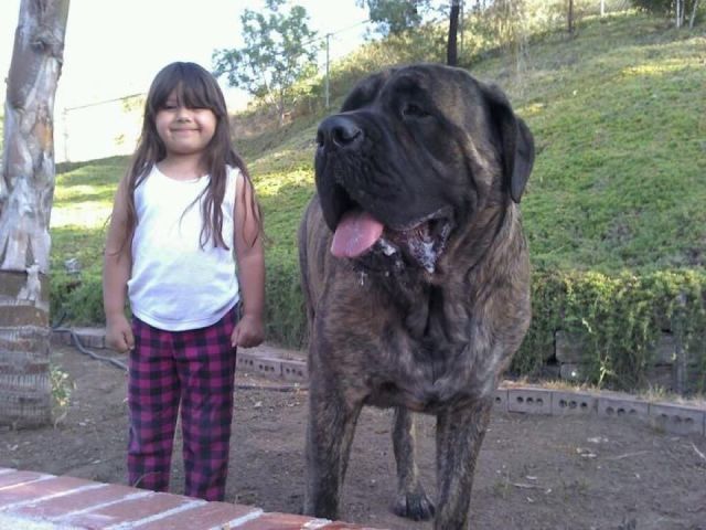 daily picdump 92 pics 12.html - 92 HD Photos | Premium Gallery 2012