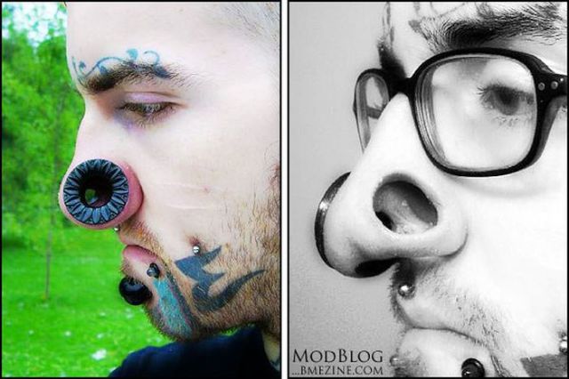 Wacky Body Modifications