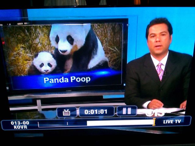 morning picdump 59 pics 12.html - 59 HD Photos | Premium Gallery 2012