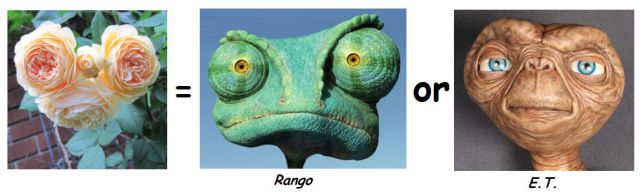 morning picdump 59 pics 12.html - 59 HD Photos | Premium Gallery 2012