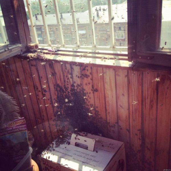 morning picdump 59 pics 12.html - 59 HD Photos | Premium Gallery 2012