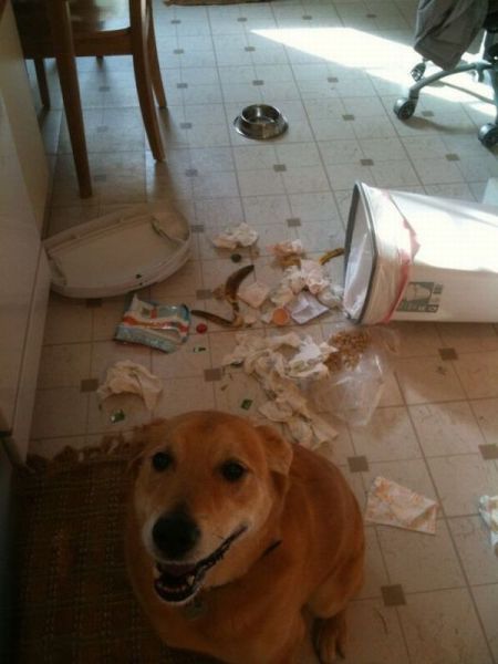 morning picdump 59 pics 12.html - 59 HD Photos | Premium Gallery 2012