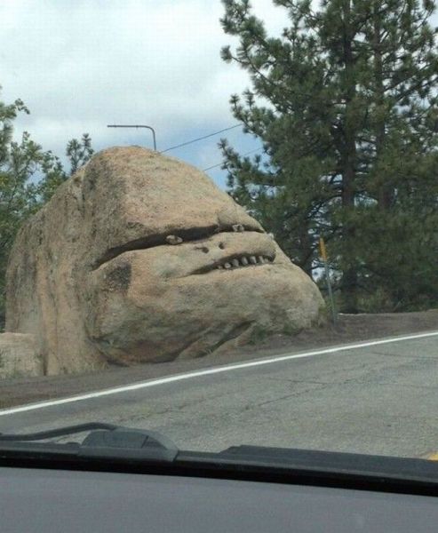 Daily Picdump
