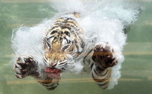 daily picdump 92 pics 45.html - 92 HD Photos | Premium Gallery 2012