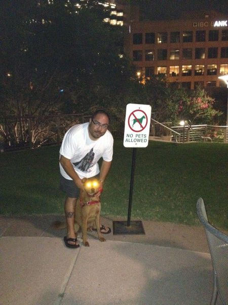 daily picdump 92 pics 45.html - 92 HD Photos | Premium Gallery 2012