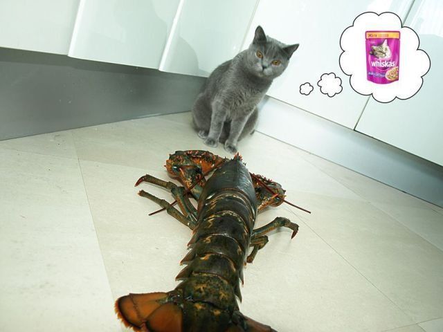 daily picdump 92 pics 45.html - 92 HD Photos | Premium Gallery 2012