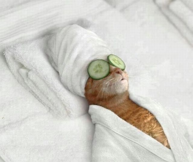 Morning Picdump