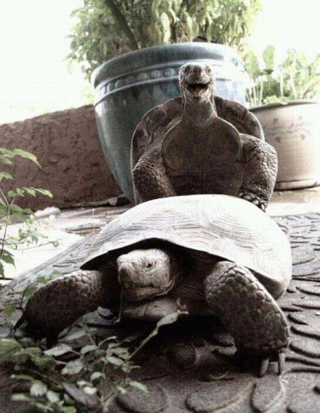 morning picdump 56 pics 24.html - 56 HD Photos | Premium Gallery 2012