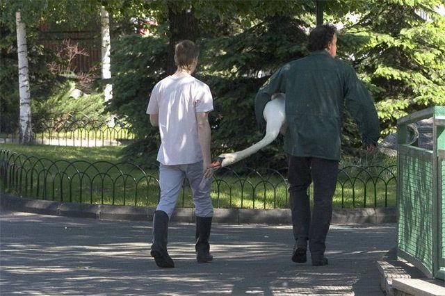 morning picdump 56 pics 24.html - 56 HD Photos | Premium Gallery 2012