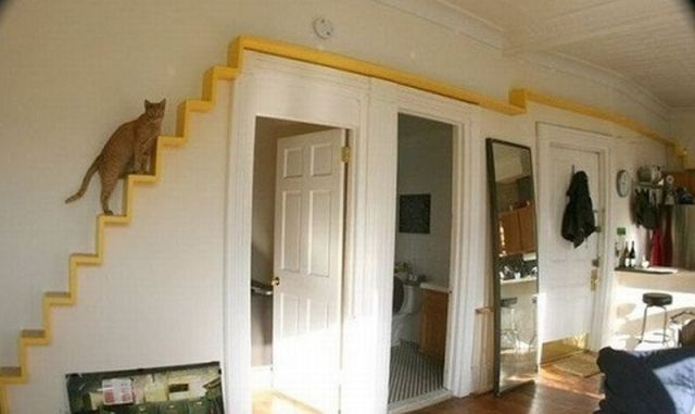 morning picdump 58 pics 25.html - 58 HD Photos | Premium Gallery 2012